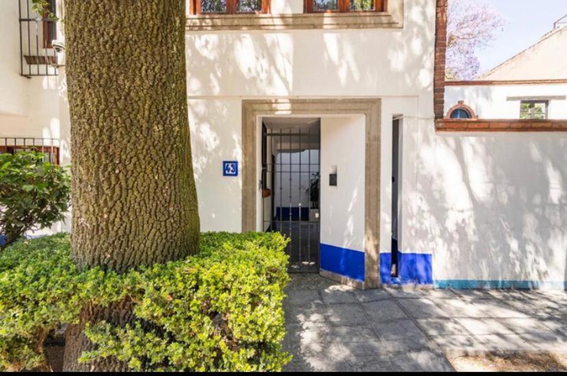 Siete Puertas Coyoacan Mexico City Luaran gambar